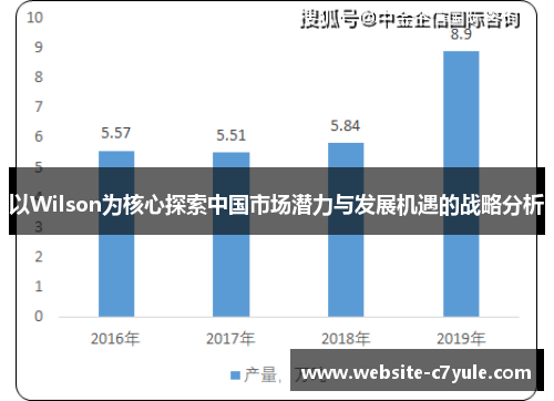 以Wilson为核心探索中国市场潜力与发展机遇的战略分析